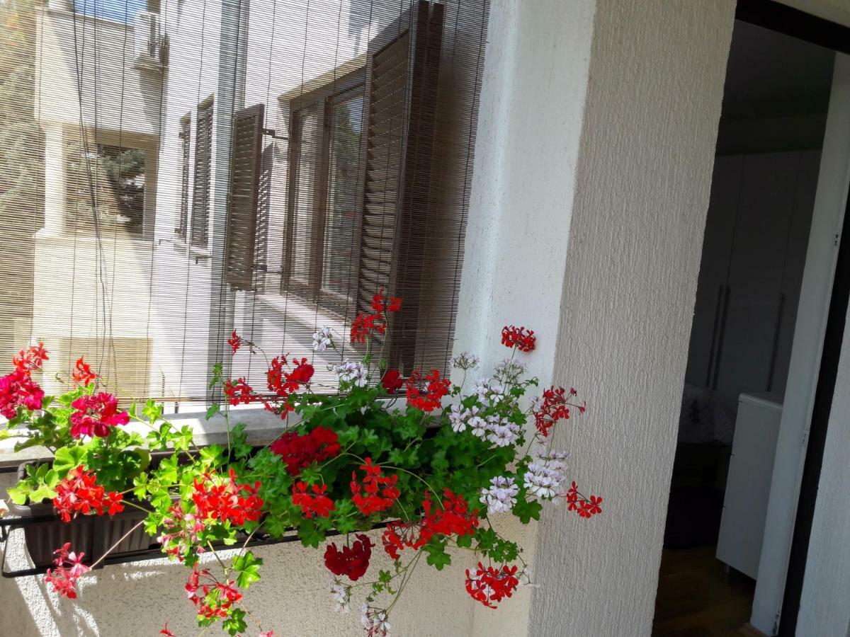 Apartments Ruzica Pula Extérieur photo